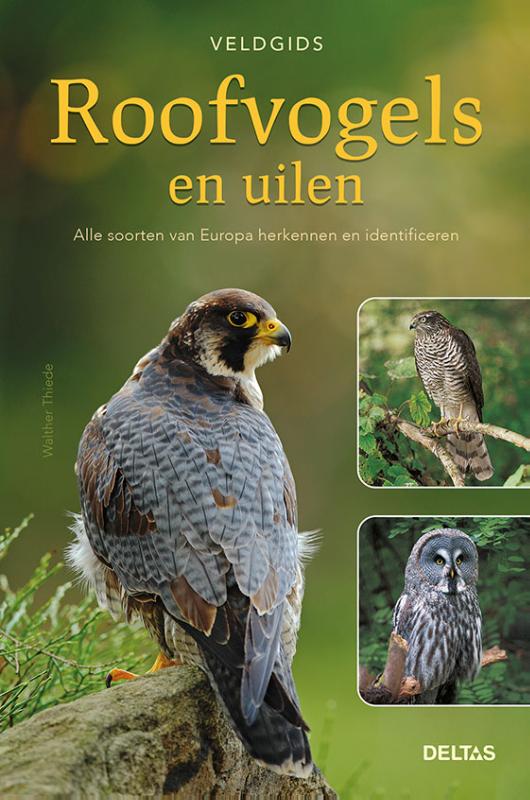 WALTHER THIEDE - Veldgids - Roofvogels en uilen. Alle soorten van Europa herkennen en identificeren