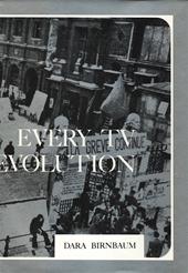 Dara Birnbaum 68940 - Every TV needs a revolution