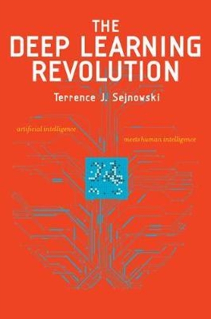 TERRENCE SEJNOWSKI - Deep learning revolution