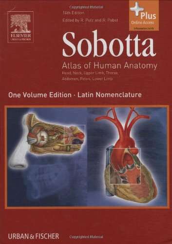Reinhard Putz 78969, Johannes Sobotta 49977 - Sobotta Atlas of human anatomy