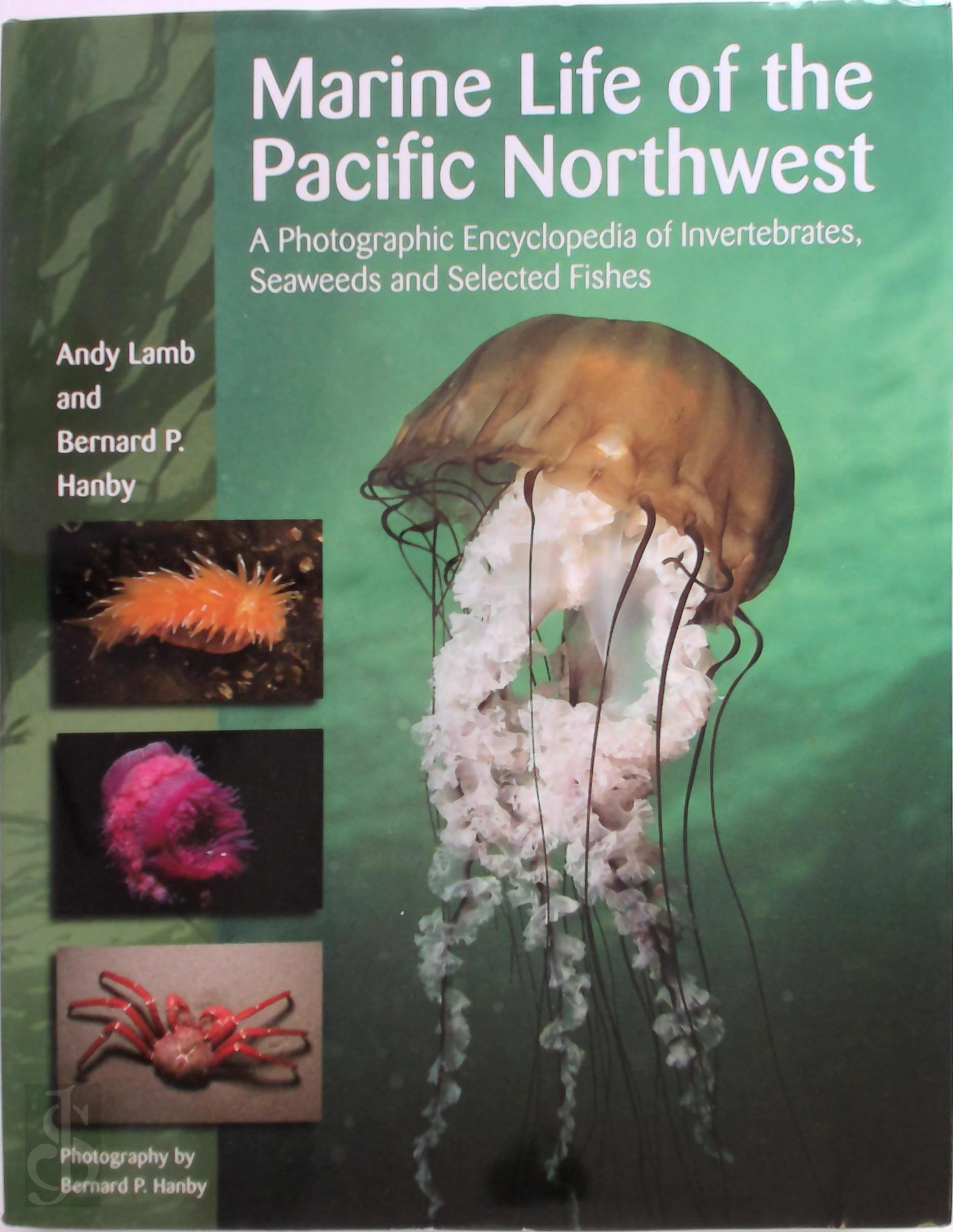 Lamb, Andrew , Hanby, Bernard P. - Marine Life of the Pacific Northwest. A Photographic Encyclopedia of Invertibrates, Seaweeds And Selected Fishes