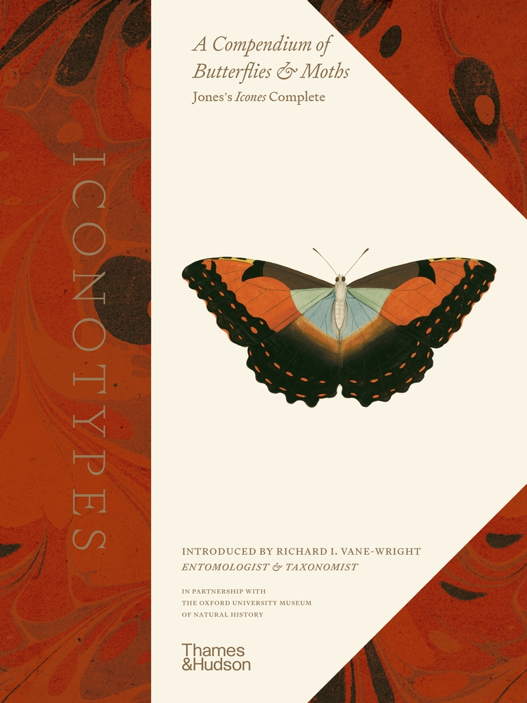  - Iconotypes. A compendium of butterflies and moths. Jones`s Icones Complete