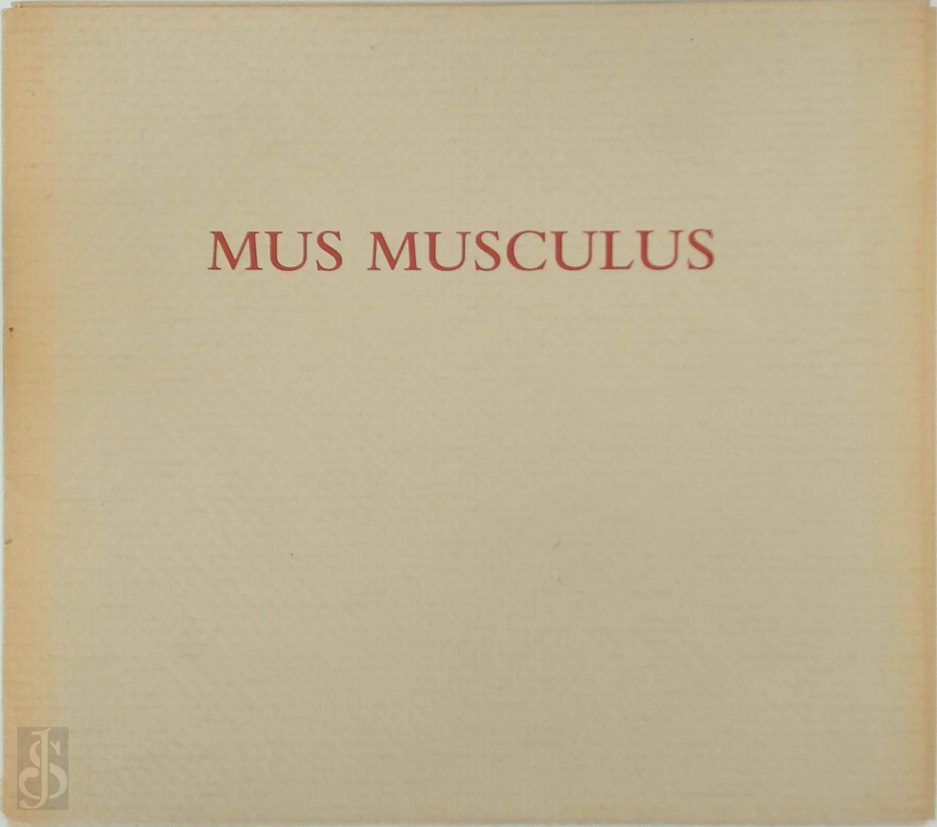 Ton de Laat 272852, A.H.M. de Laat - Mus Musculus. Galerie Petit nummer 8