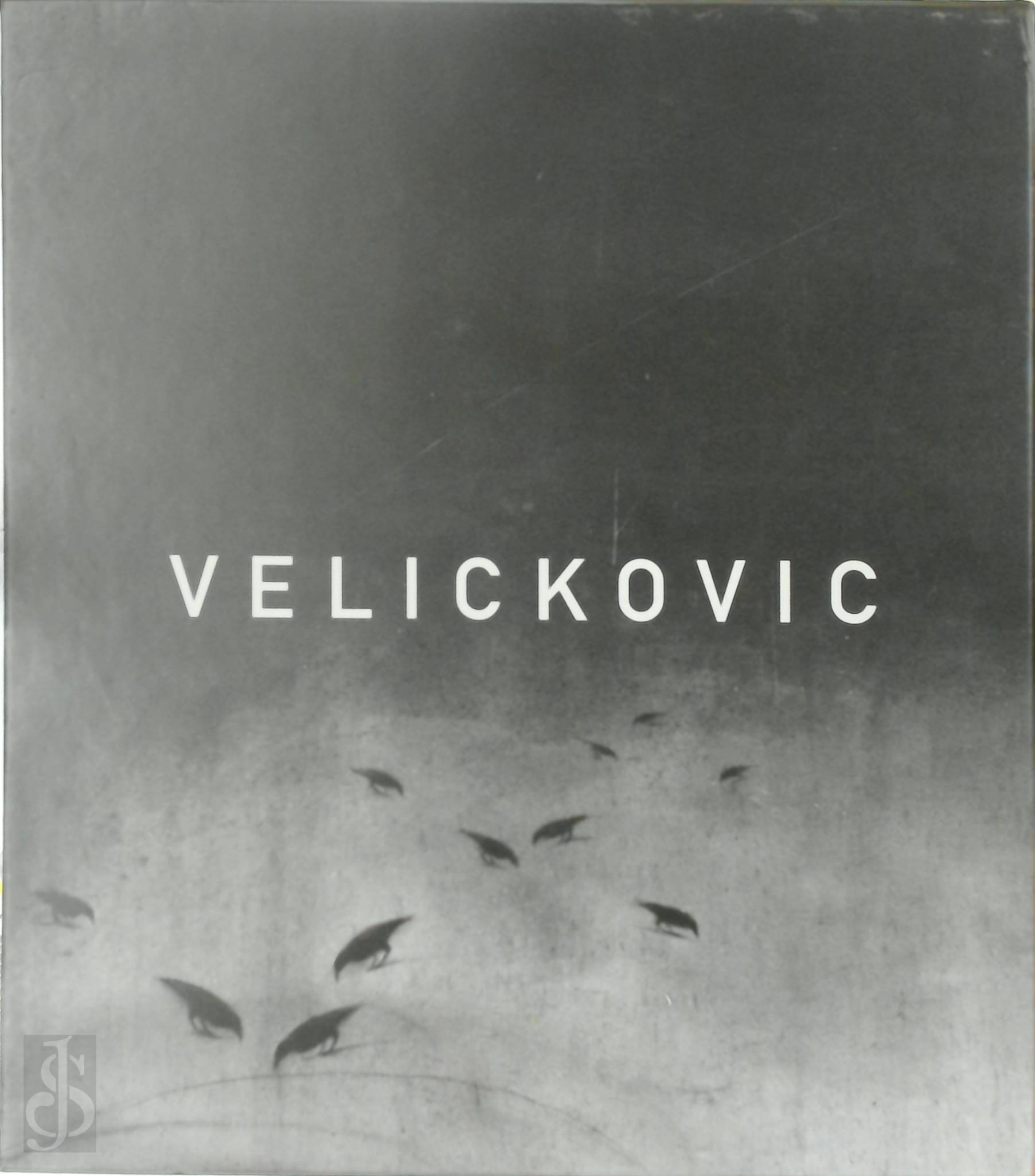 Bernard Noel 13902, Alin Avila 279088 - Vladimir Velickovic. Peinture 1954-2013