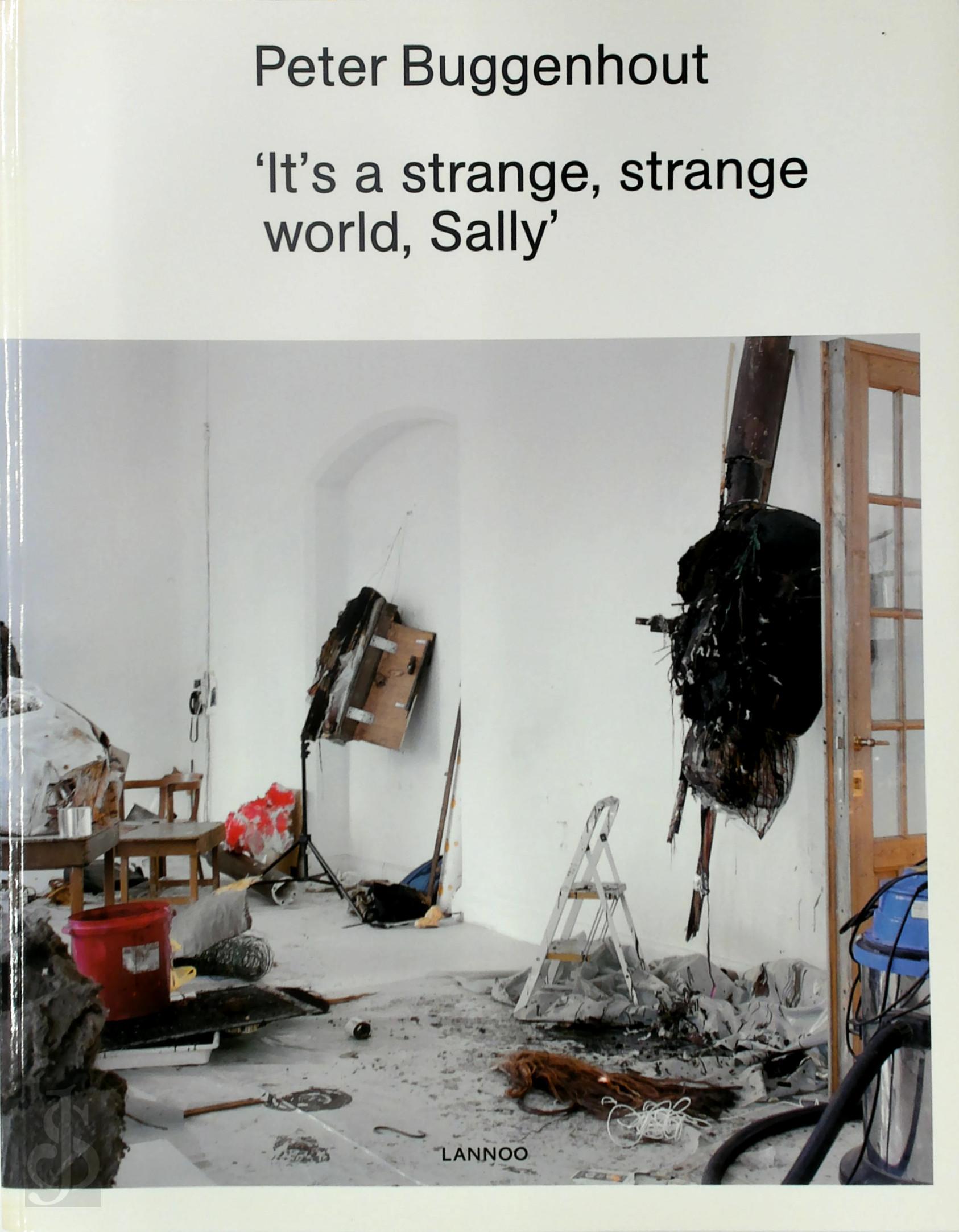 Peter Buggenhout 211336 - 'It's a strange, strange world, Sally'