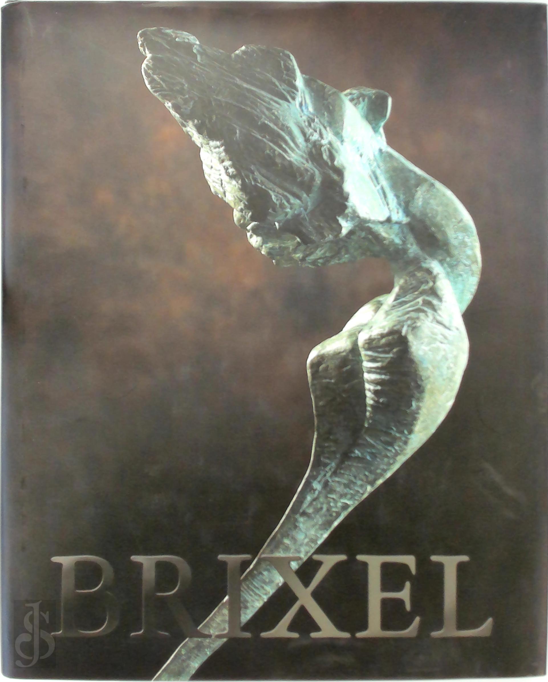  - Brixel