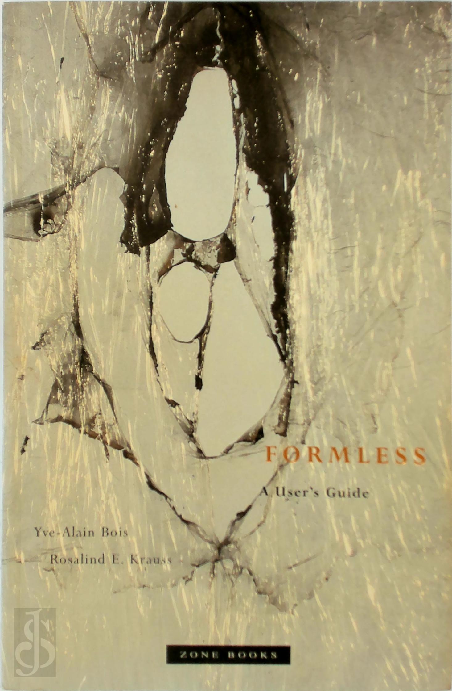 Yve-Alain Bois 38613, Rosalind E. Krauss , Centre Georges Pompidou - Formless. A User's Guide