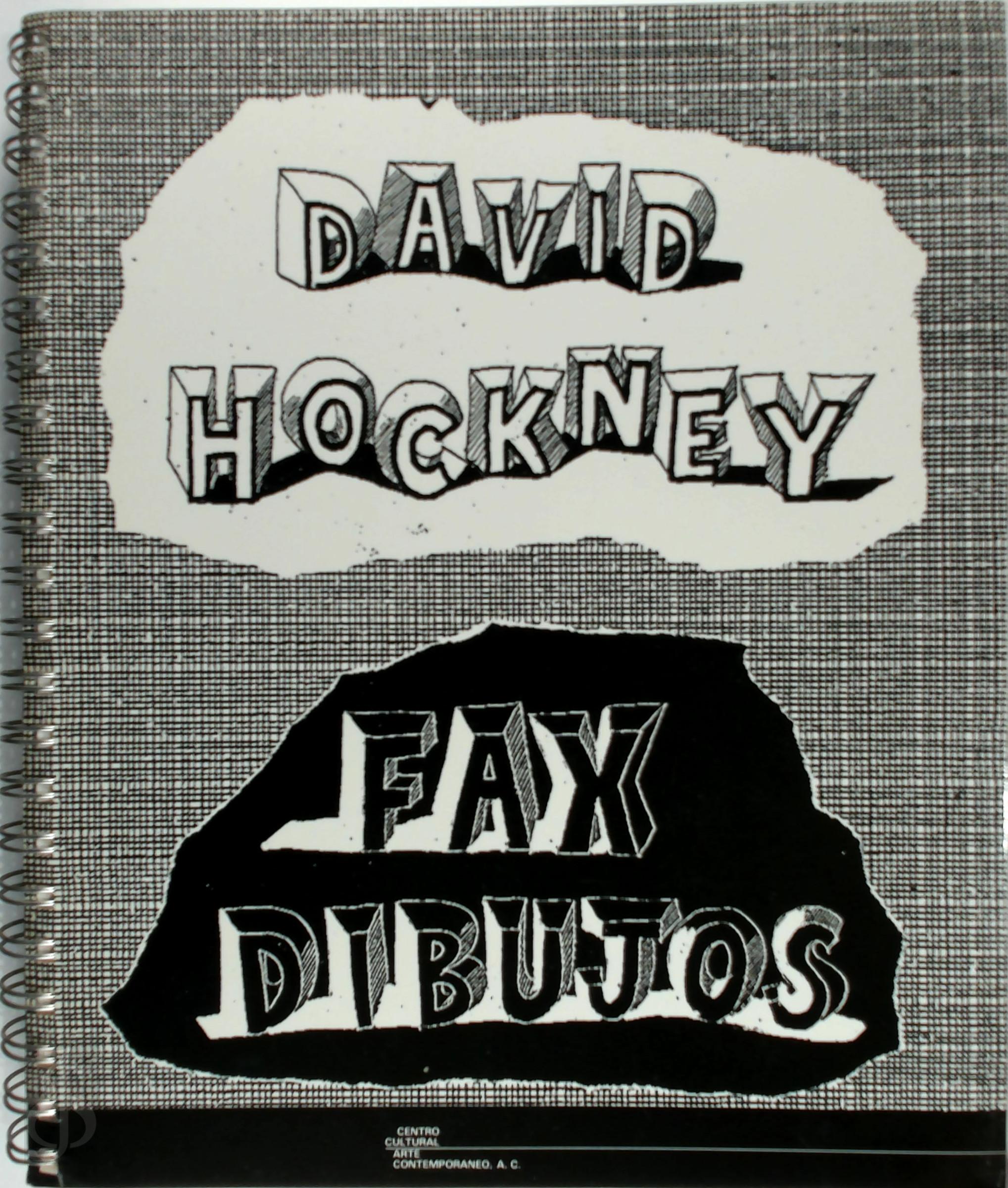 David Hockney 11357 - Fax cuadros