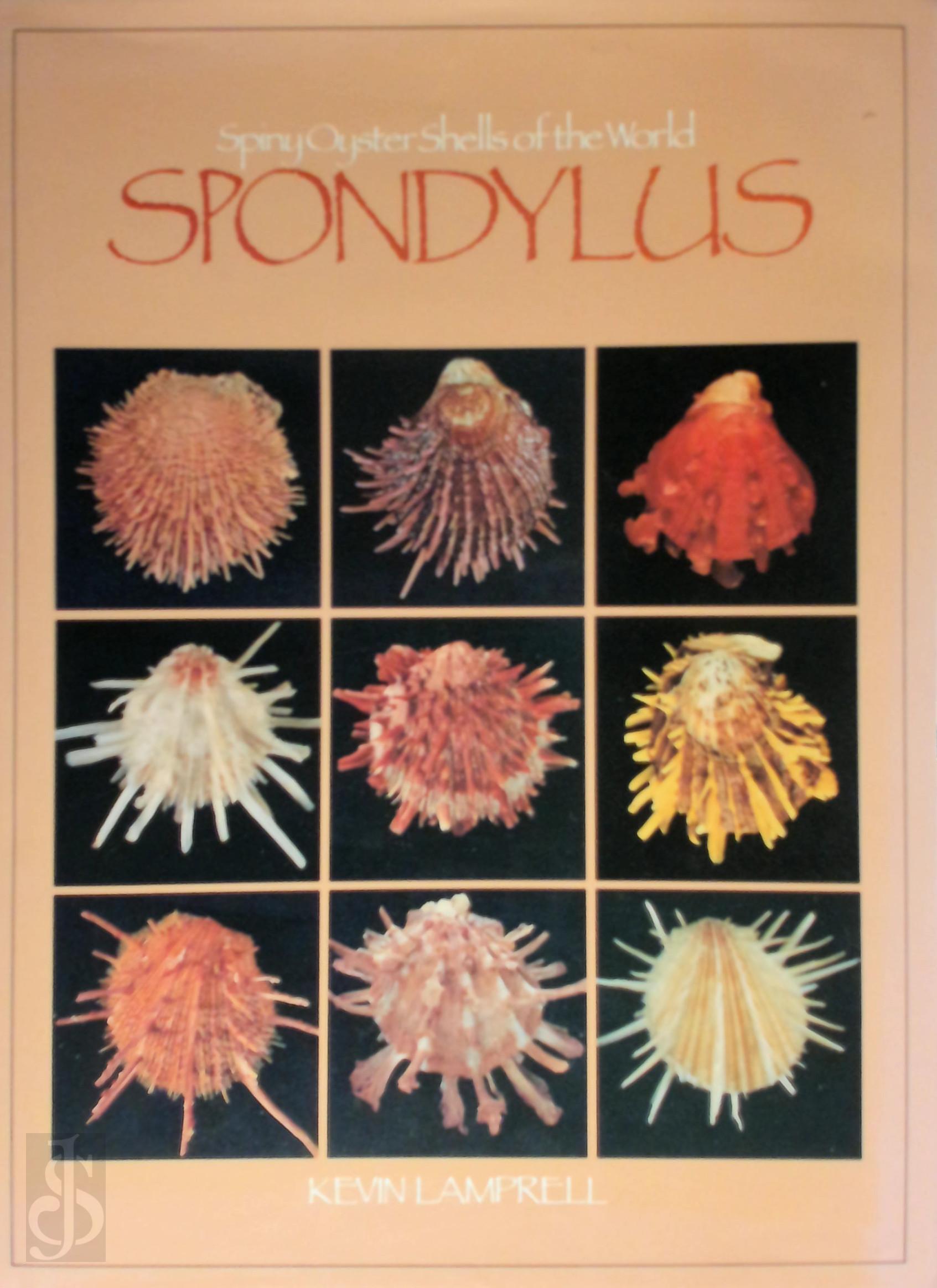 Kevin Lamprell 297588 - Spondylus. Spiny oyster shells of the world