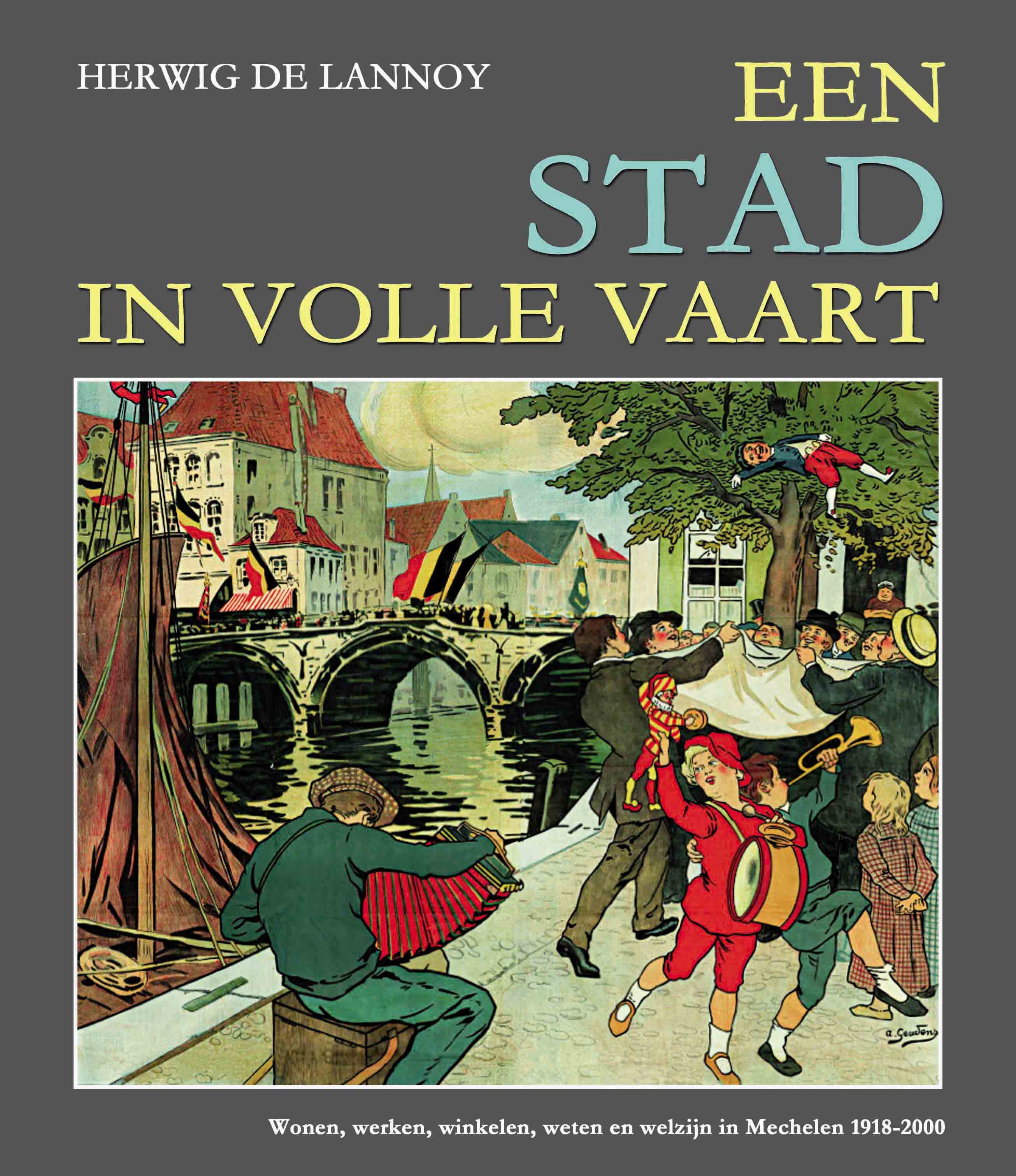 Herwig De Lannoy 243322 - Een stad in volle vaart. Wonen, werken, winkelen, weten en welzijn in Mechelen 1918-2000