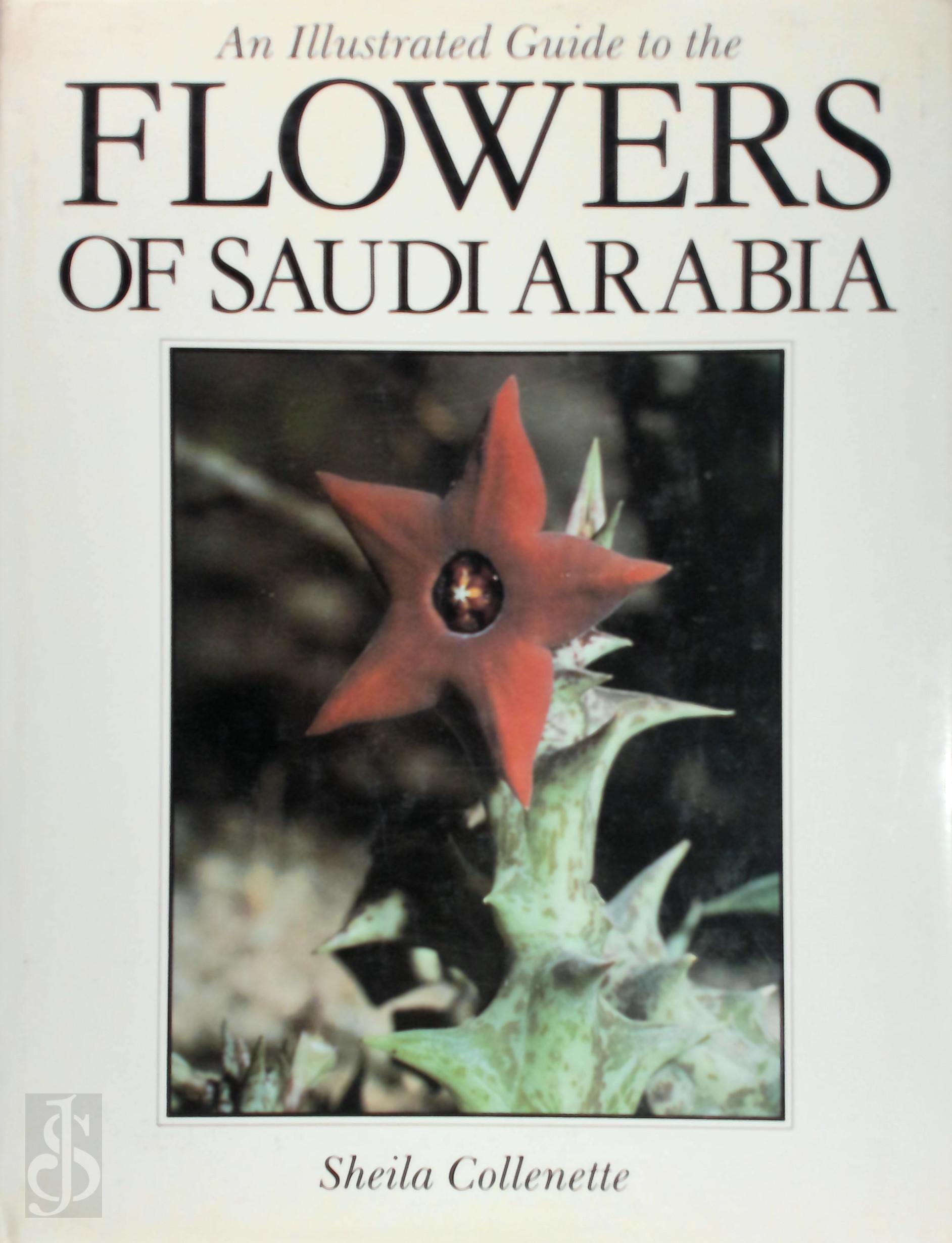 Sheila Collenette - An Illustrated Guide to the Flowers of Saudi Arabia