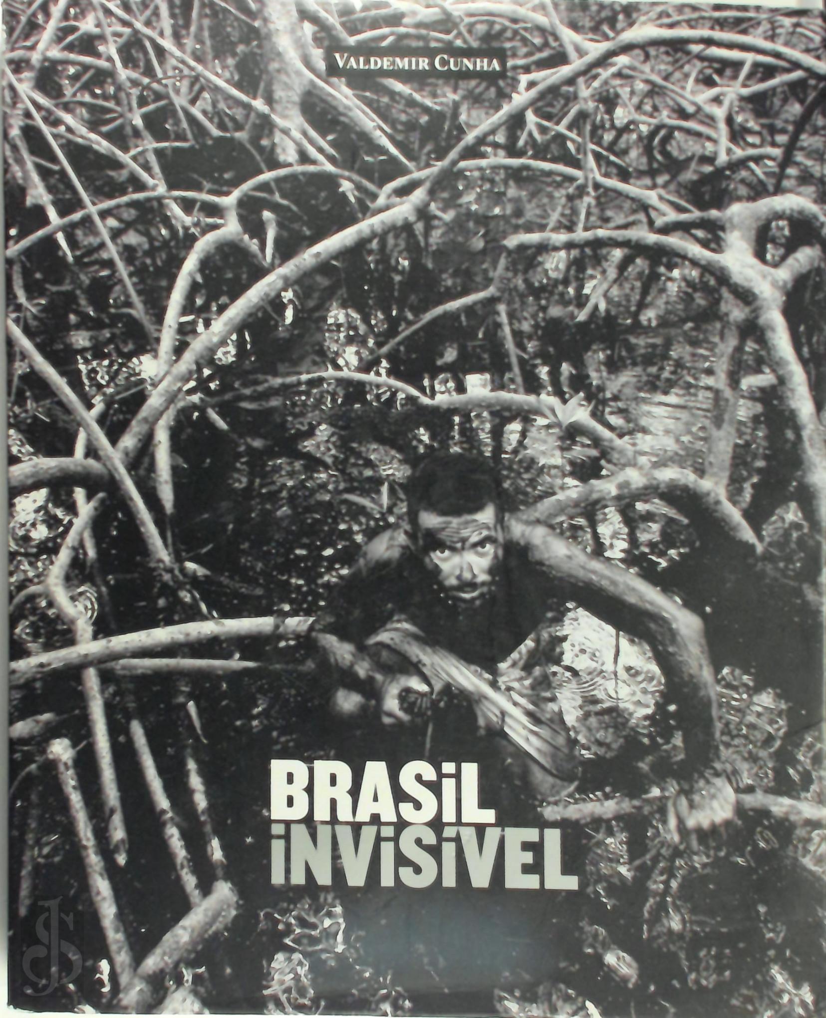 Valdemir Cunha - Brasil invisvel
