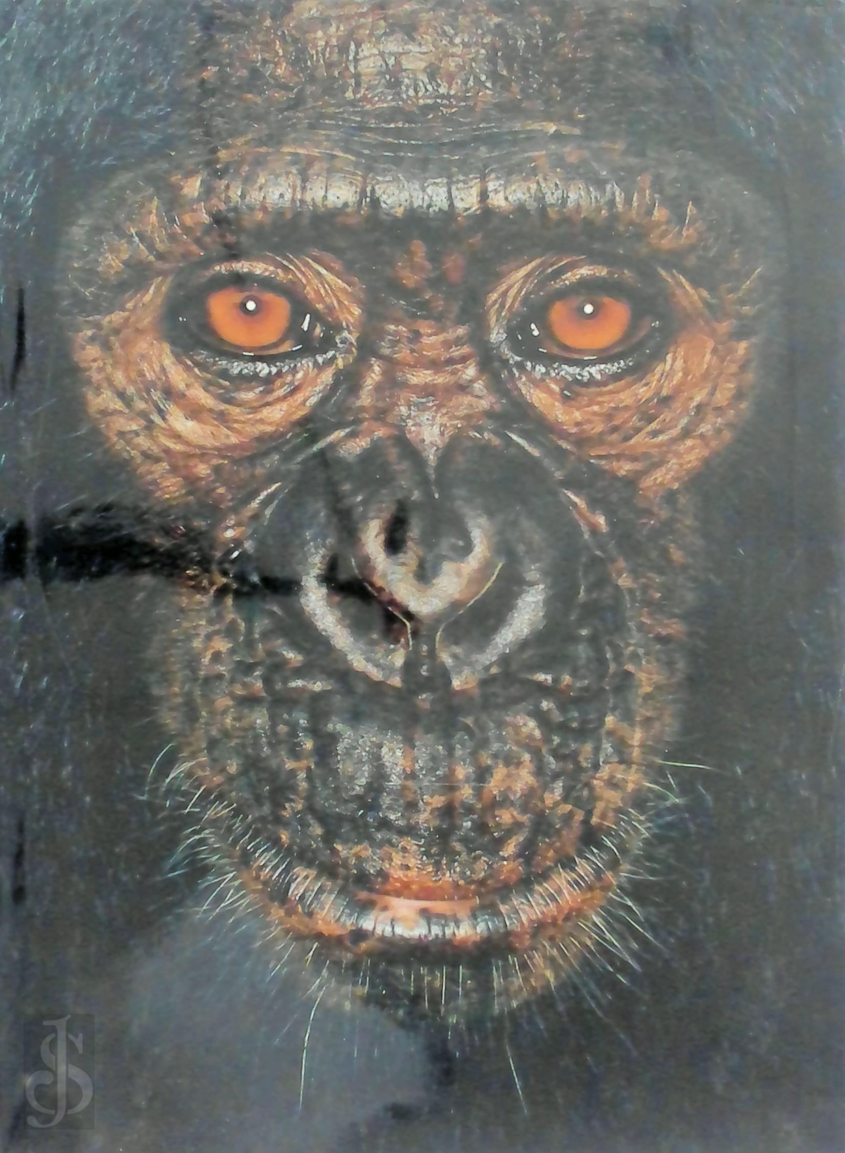 James Mollison 137769 - James & Other Apes