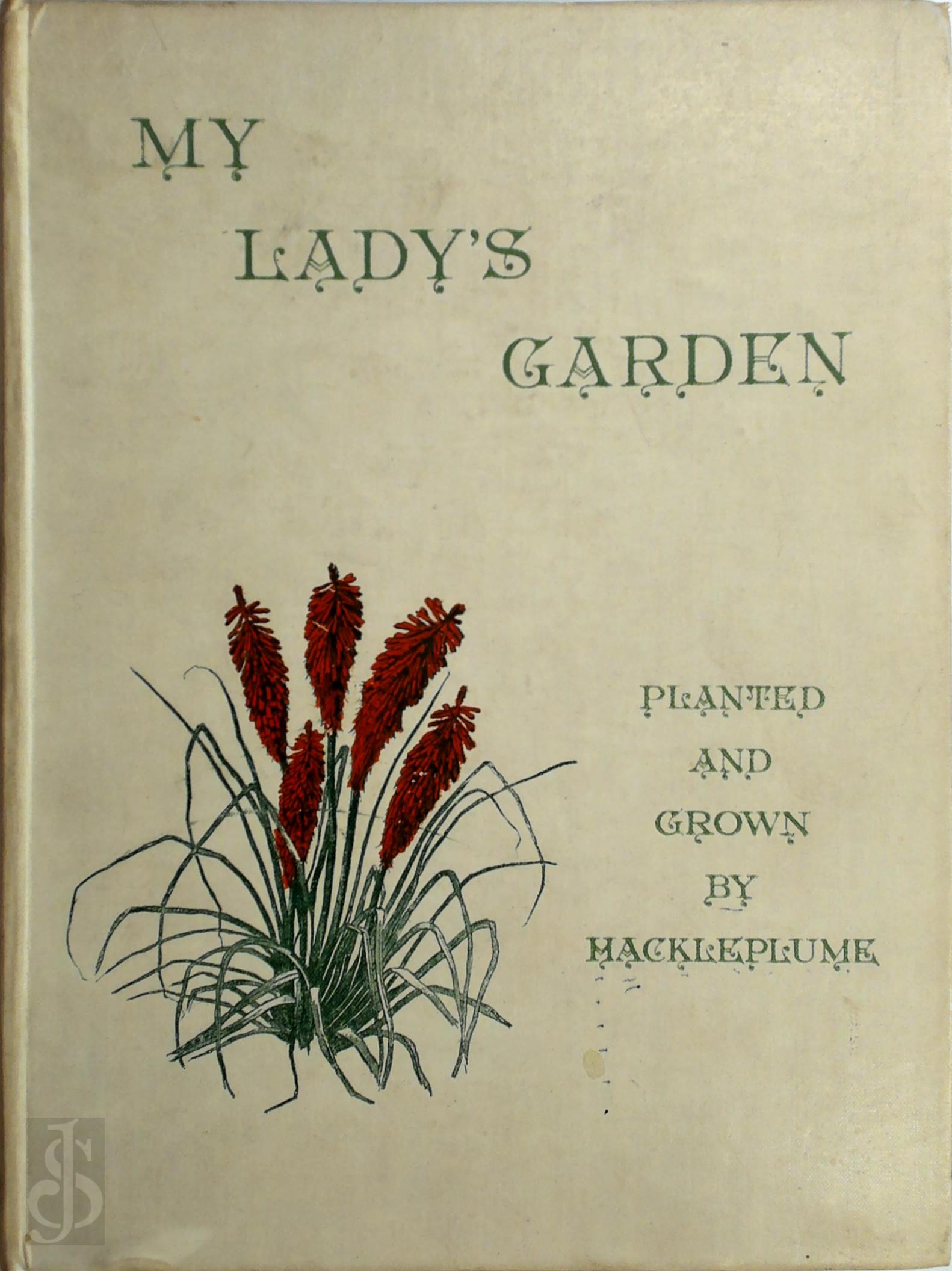 Hackleplume - My Lady's Garden Planted And Grown