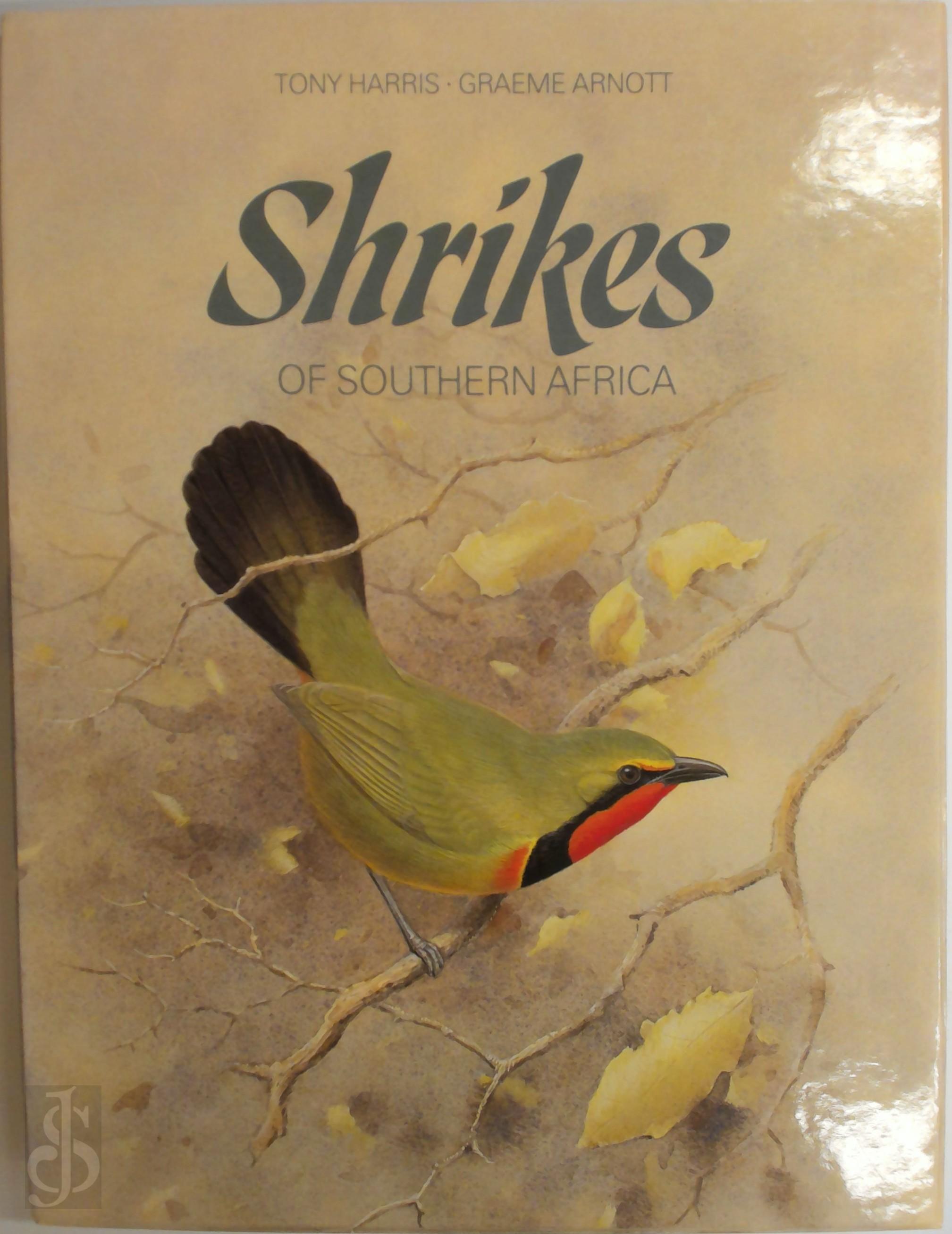 Tony Harris 77835 - Shrikes of Southern Africa