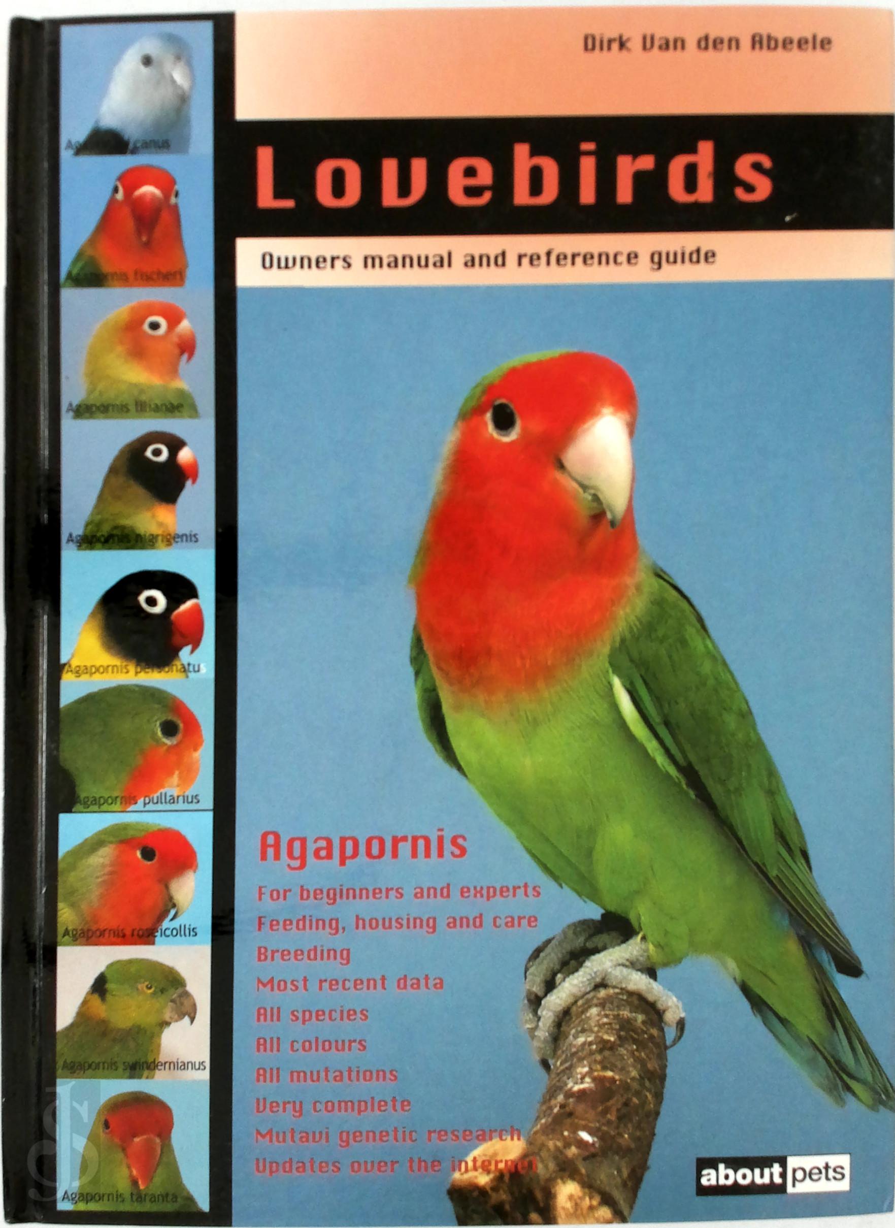 Dirk van Den Abeele 232374 - Lovebirds
