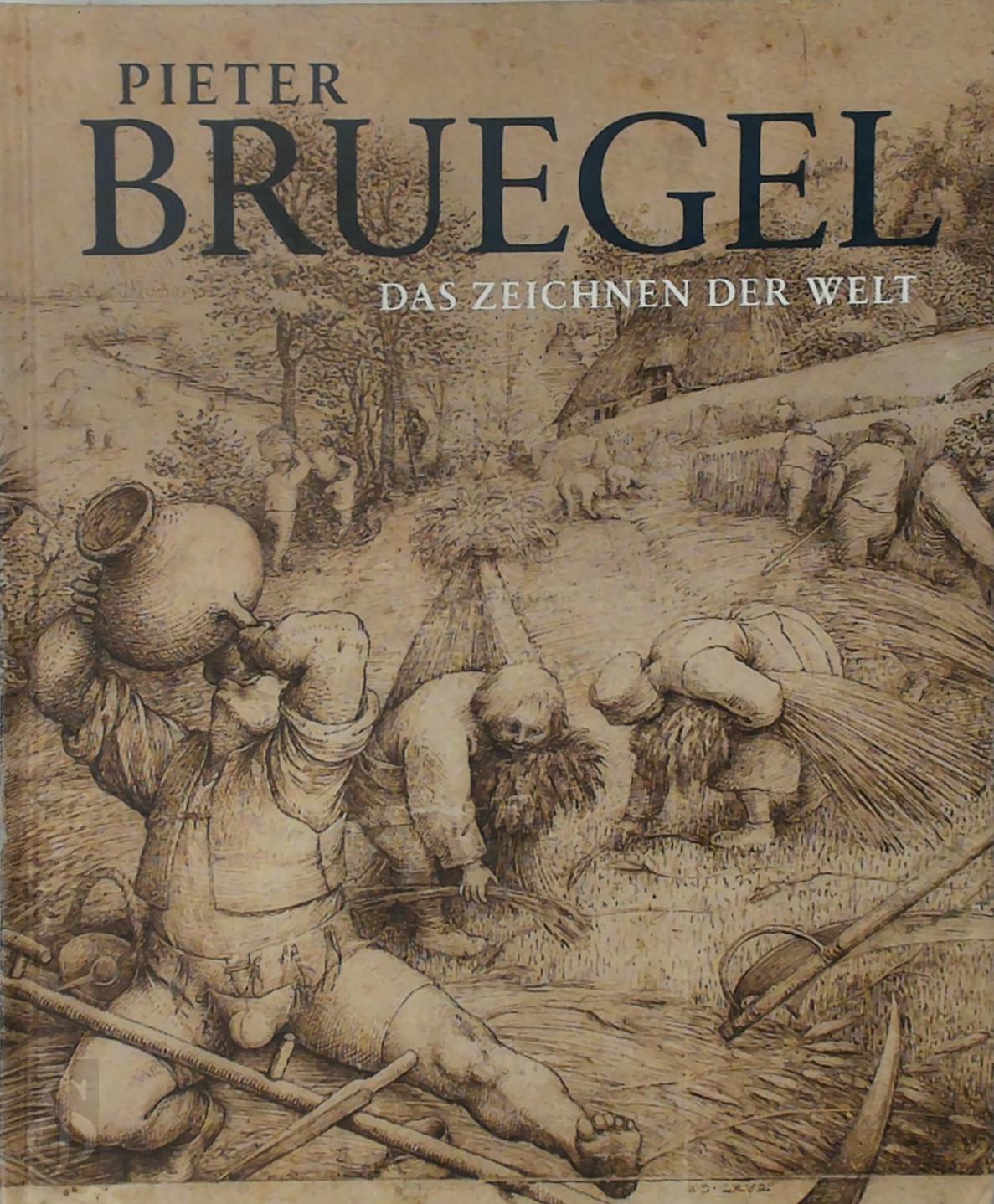Eva Michel 279202 - Pieter Bruegel. Das Zeichnen der Welt
