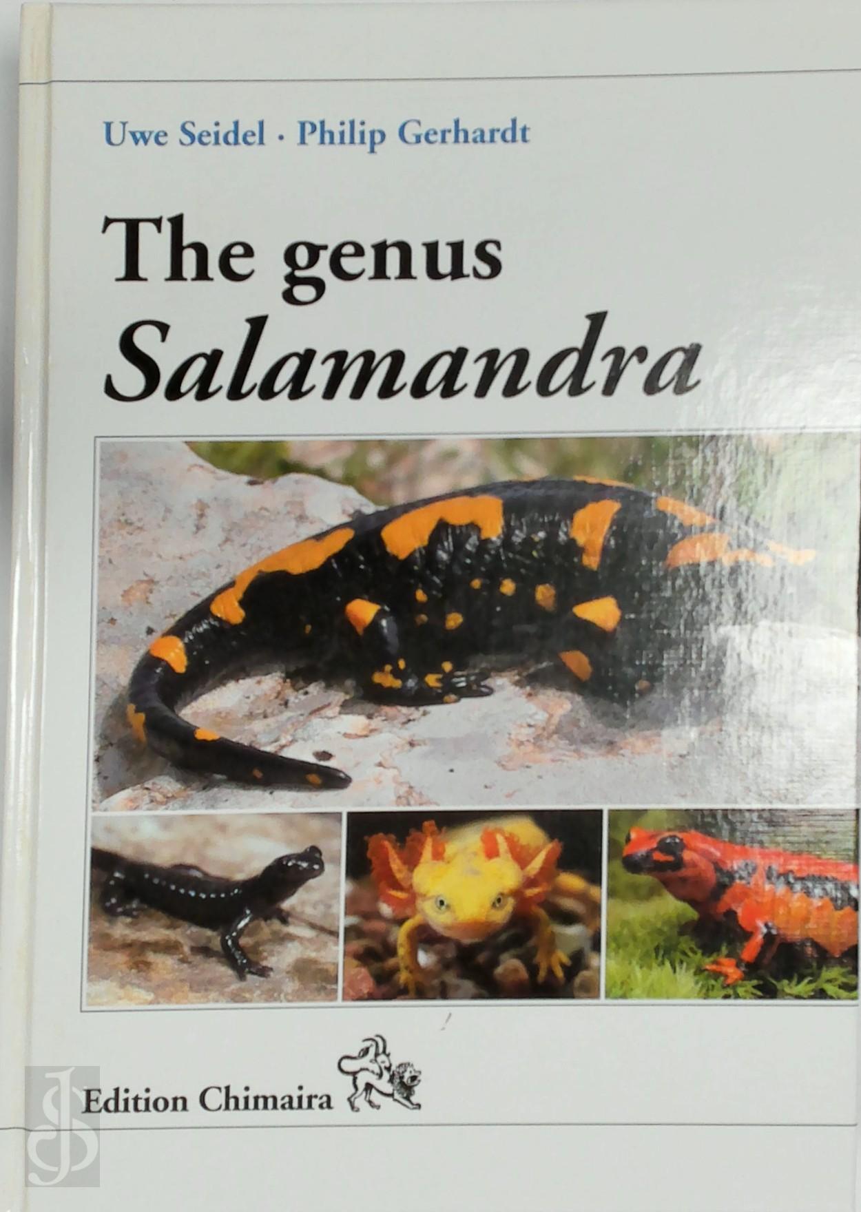 Uwe Seidel 34576 - The Genus Salamandra