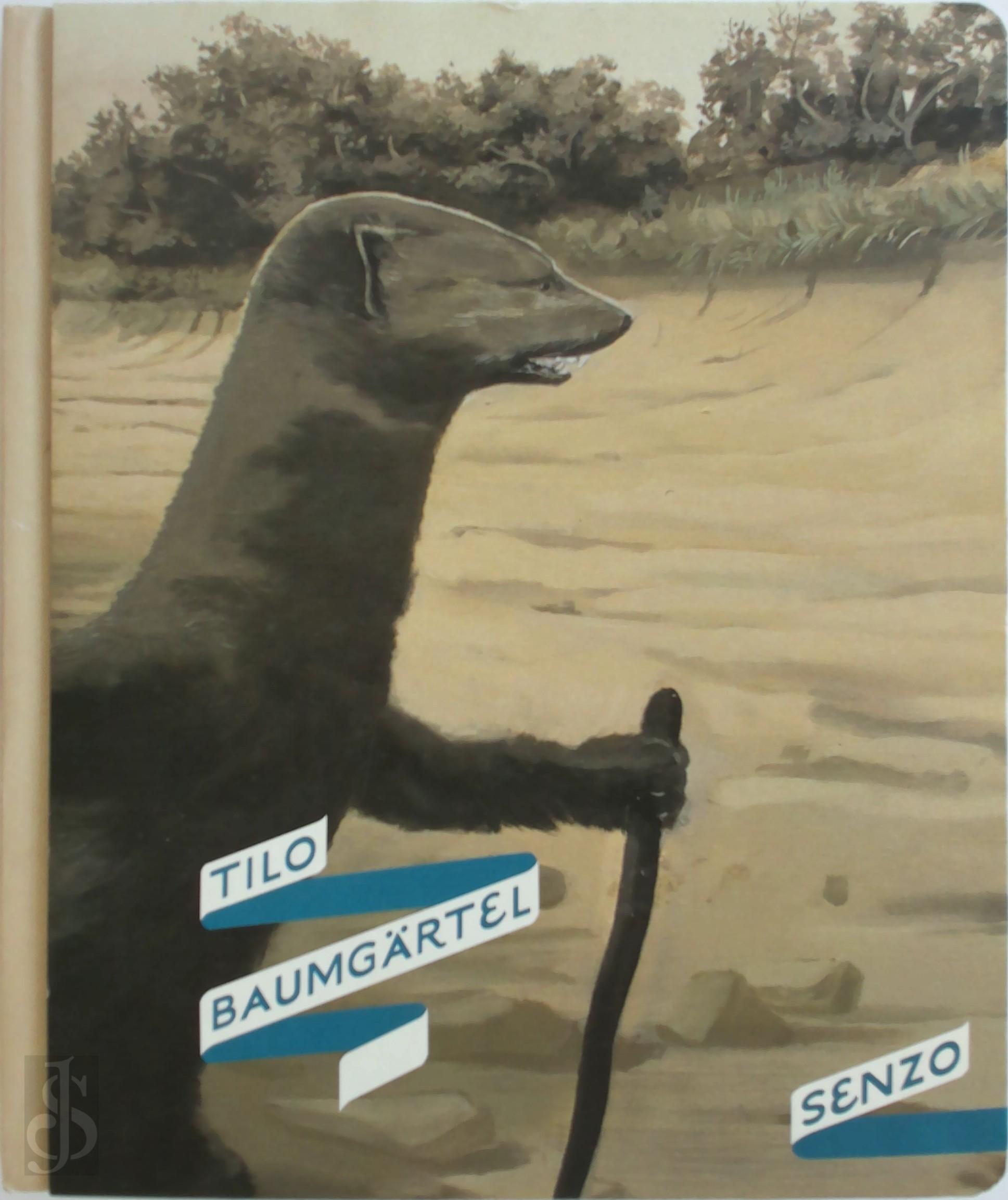  - Tilo Baumgartel. Senzo