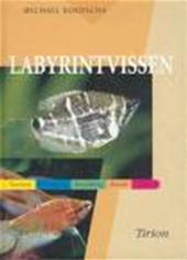M. KOKOSCHA - Labyrintvissen
