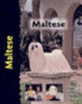 JULIETTE CUNLIFFE - Maltese