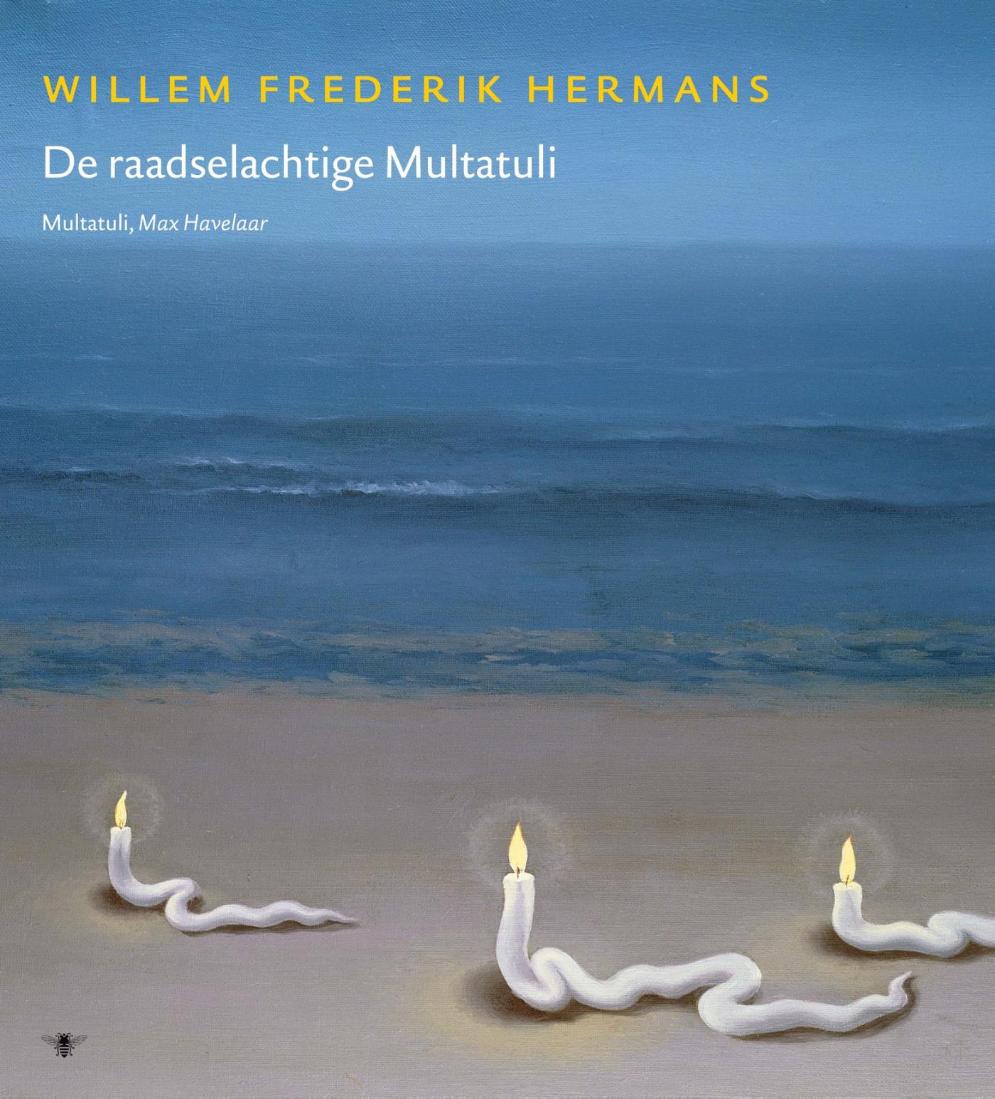 Willem Frederik Hermans 11098 - Volledige werken 17. De raadselachtige Multatuli