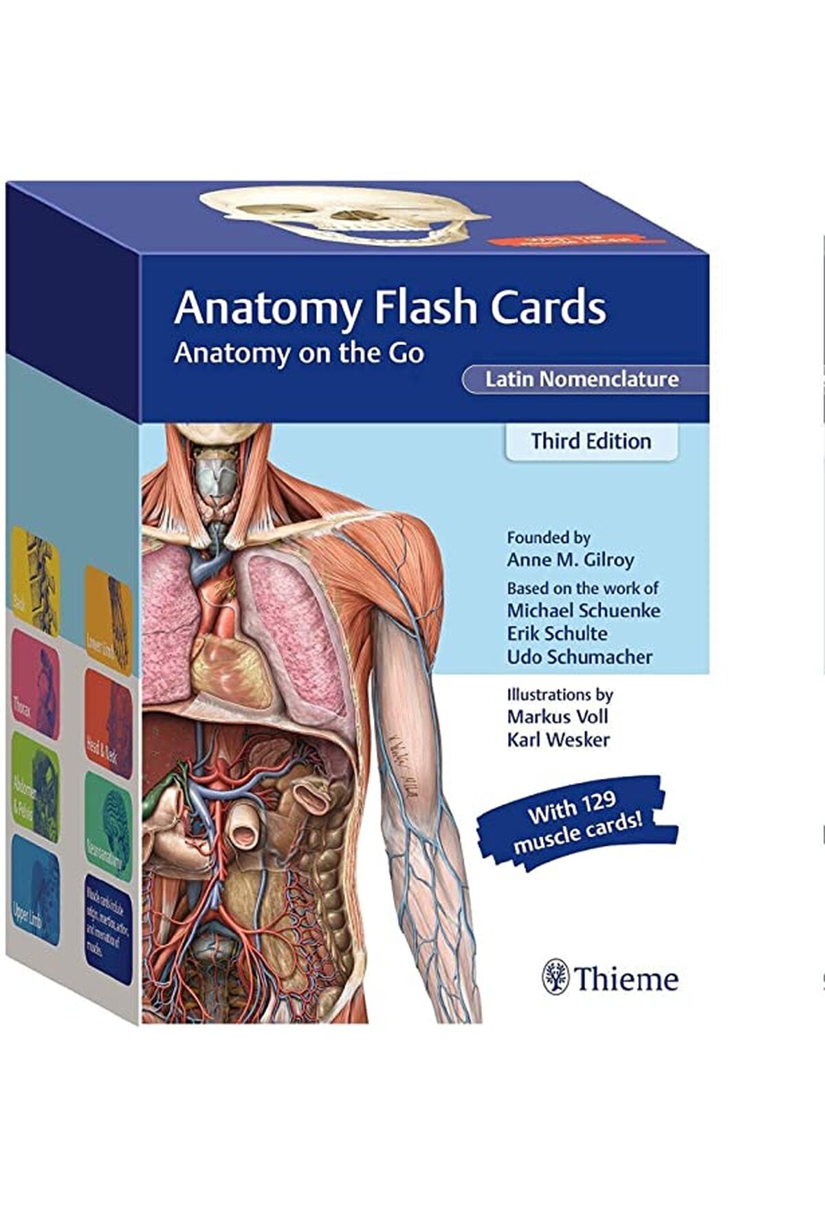 Anatomy Flash Cards, Latin Nomenclature Anne M. Gilroy (ISBN