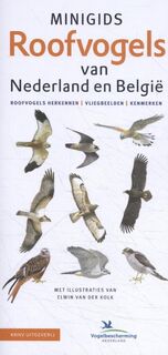 Minigids Roofvogels van Nederland en België - Jip Louwe Kooijmans (ISBN 9789050117128)