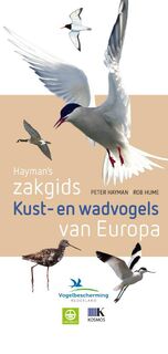Hayman's zakgids kust- en wadvogels