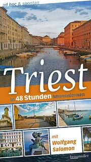 Triest ad hoc & spontan - Wolfgang Salomon (ISBN 9783991003960)
