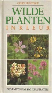 Wilde planten in kleur - Geert Hüsstege (ISBN 9789065902047)