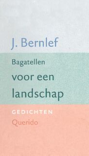 Bagatellen voor een landschap - J. Bernlef (ISBN 9789021452654)