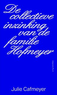 De collectieve inzinking van de familie Hofmeyer - Julie Cafmeyer (ISBN 9789493339750)