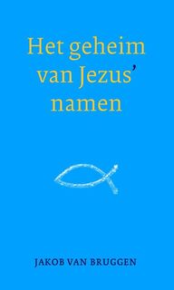 Het geheim van Jezus' namen - Jakob van Bruggen (ISBN 9789043527248)