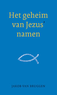 Het geheim van Jezus' namen - Jakob van Bruggen (ISBN 9789043527255)