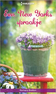 Een New Yorks sprookje - Barbara Bretton (ISBN 9789402518955)