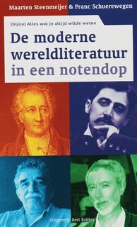 De moderne wereldliteratuur in een notendop - Maarten Steenmeijer, Franc Schuerewegen (ISBN 9789035130784)