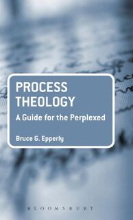 Process Theology: A Guide for the Perplexed - Dr Bruce G. Epperly (ISBN 9780567632555)