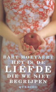 Het is de liefde die we niet begrijpen - Bart Moeyaert (ISBN 9789021475356)