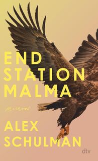 Endstation Malma - Alex Schulman (ISBN 9783423283533)
