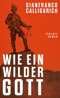 Wie ein wilder Gott - Gianfranco Calligarich (ISBN 9783552075108)