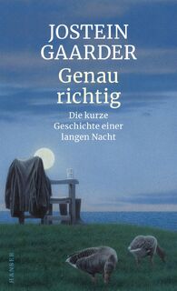 Genau richtig - Jostein Gaarder (ISBN 9783446263673)
