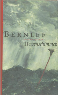 Hersenschimmen - Bernlef (ISBN 9789021433776)