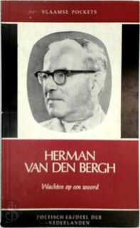 Wachten op een woord - Herman Van Den Bergh