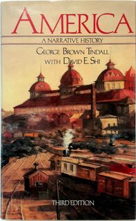 America - George Brown Tindall, David E. Shi (ISBN 9780393961485)