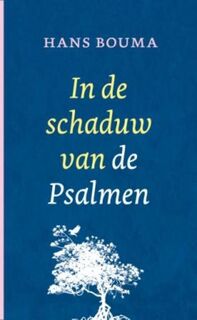In de schaduw van de psalmen - H. Bouma (ISBN 9789043505987)