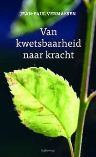 Van kwetsbaarheid naar kracht - Jean-Paul Vermassen (ISBN 9789085284758)