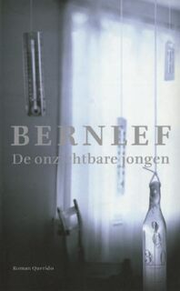 De onzichtbare jongen - J. Bernlef (ISBN 9789021452999)