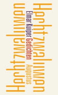 Hechtzwaluwen - Elmar Kuiper (ISBN 9789045702605)