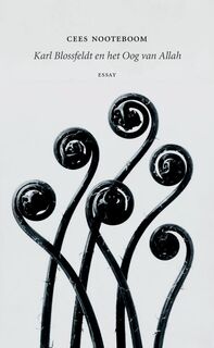 Karl Blossfeldt en het Oog van Allah - Cees Nooteboom (ISBN 9789492313409)